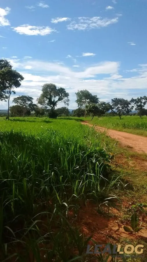 Fazenda para Venda em Jangada / MT no bairro Alameda