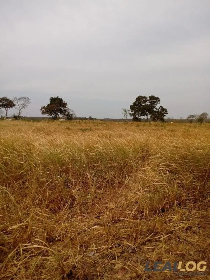 Fazenda para Venda em Jangada / MT no bairro Alameda
