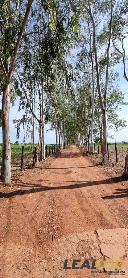 Imagens do imóveis Chácara para Venda no bairro Estrada Velha da Guia