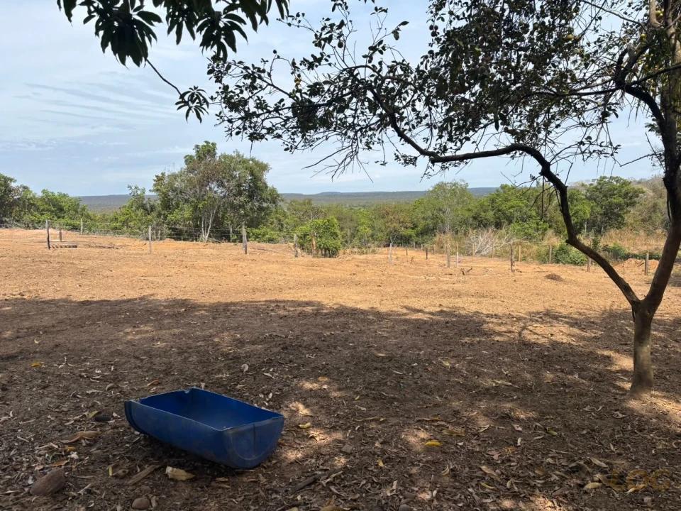 Imagens do imóveis Chácara á venda!