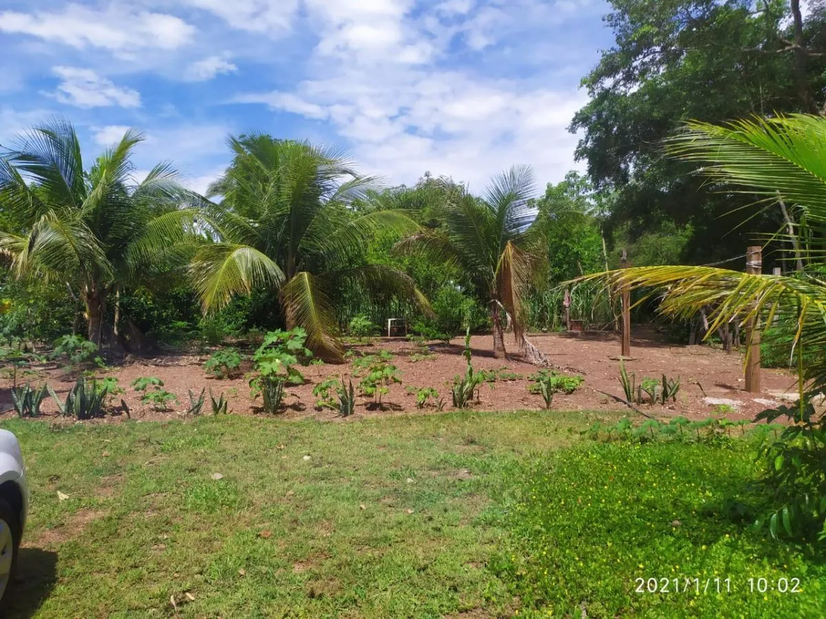 Imagens do imóveis Casa em Condomínio para Venda em Acorizal / MT no bairro Alameda