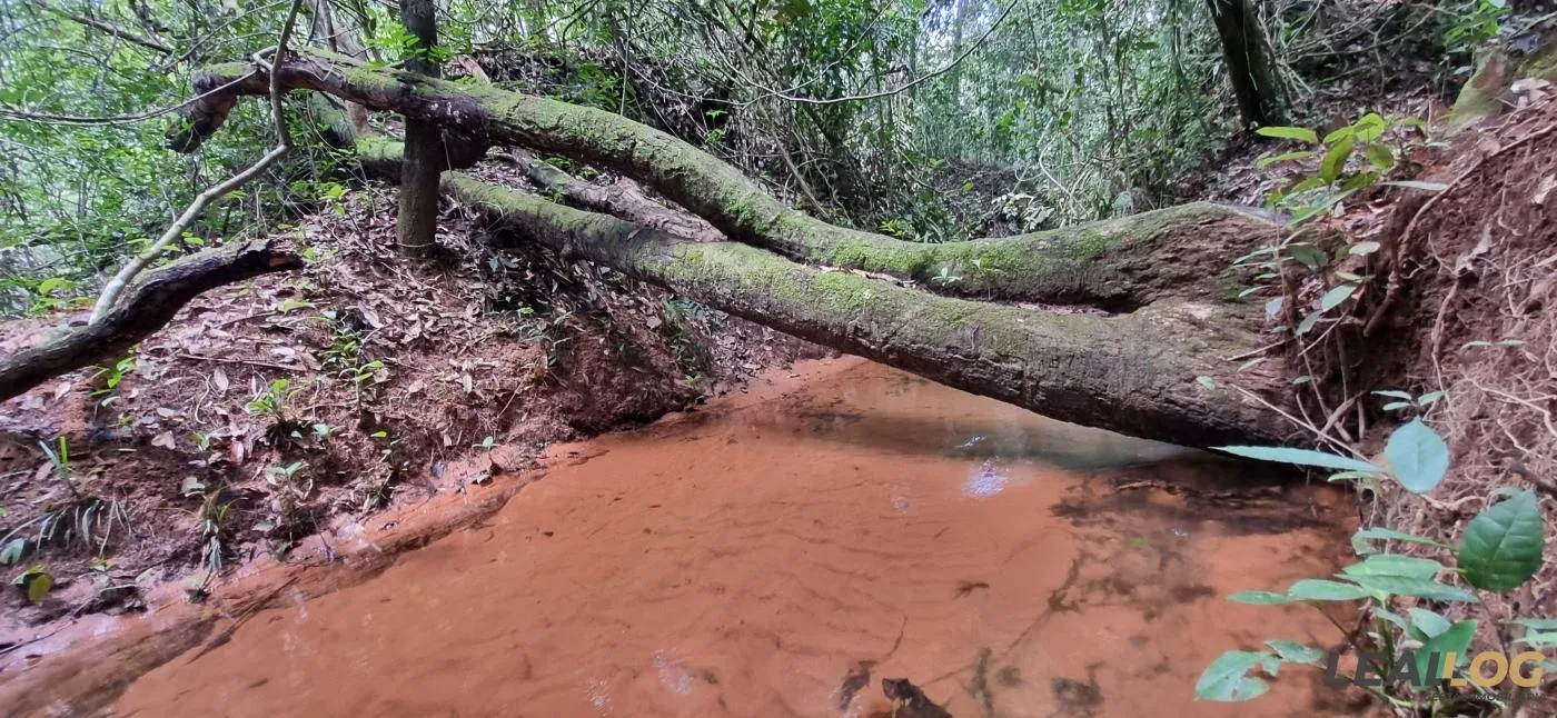 Imagens do imóveis Chácara para Venda em Cuiabá / MT no bairro Manso