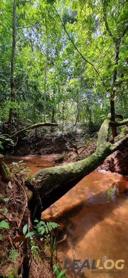 Imagens do imóveis Chácara para Venda em Cuiabá / MT no bairro Manso