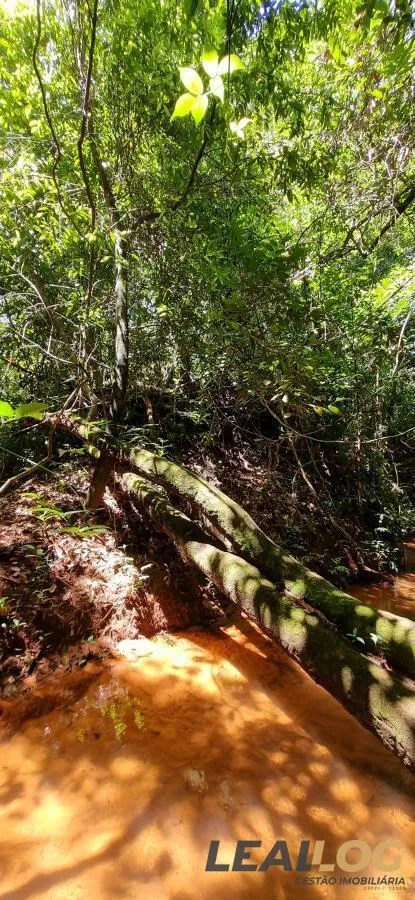 Imagens do imóveis Chácara para Venda em Cuiabá / MT no bairro Manso