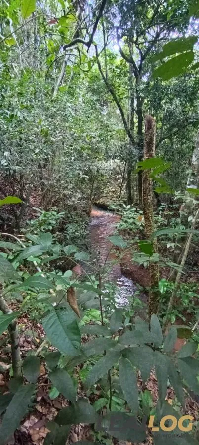 Imagens do imóveis Chácara para Venda em Cuiabá / MT no bairro Manso