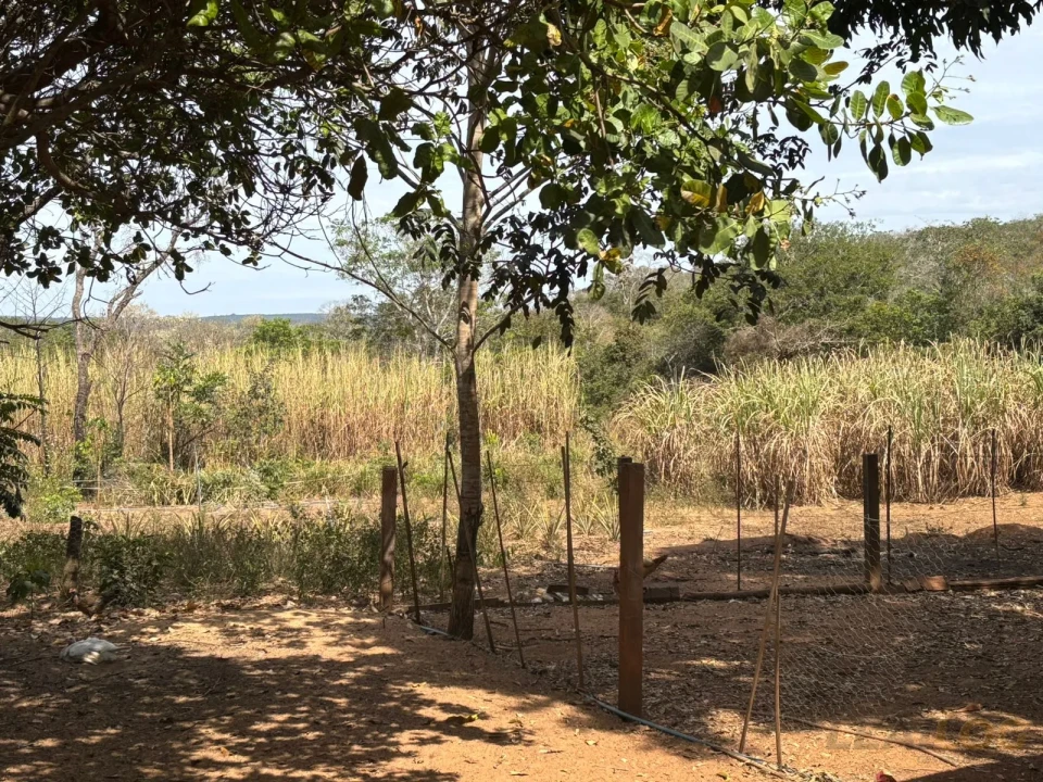 Imagens do imóveis Chácara á venda!