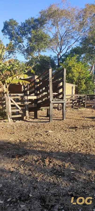Imagens do imóveis Chácara para Venda em Cuiabá / MT no bairro Pedra 90