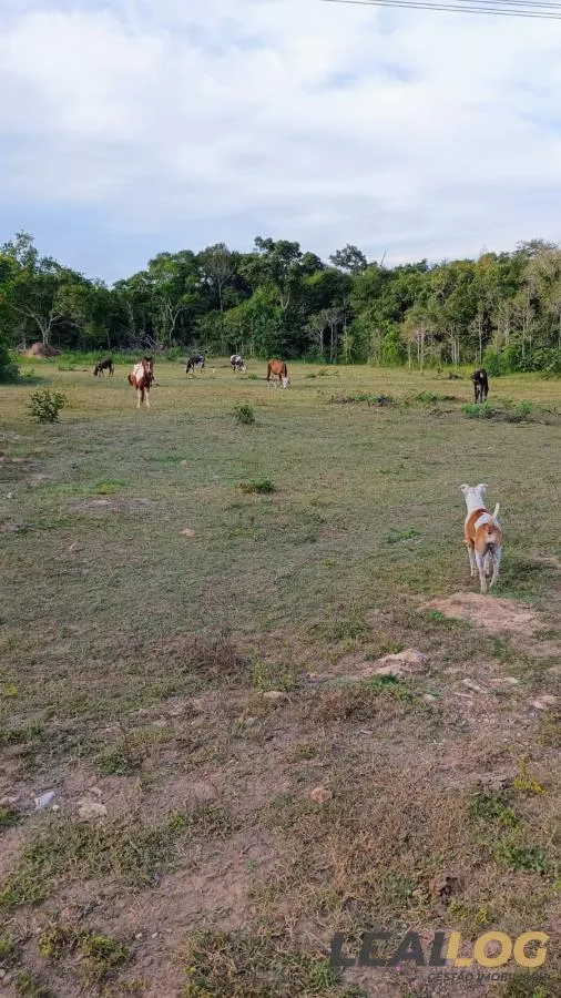 Imagens do imóveis Chácara para Venda em Cuiabá / MT no bairro Pedra 90