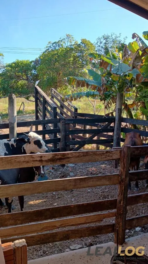 Imagens do imóveis Chácara para Venda em Cuiabá / MT no bairro Pedra 90