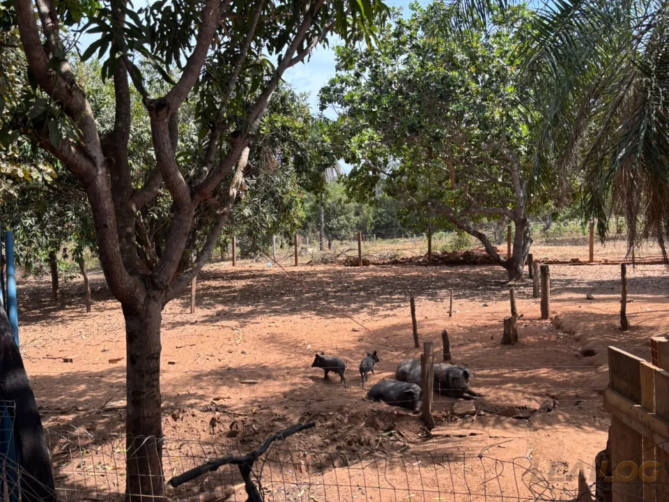 Imagens do imóveis Chácara á venda!