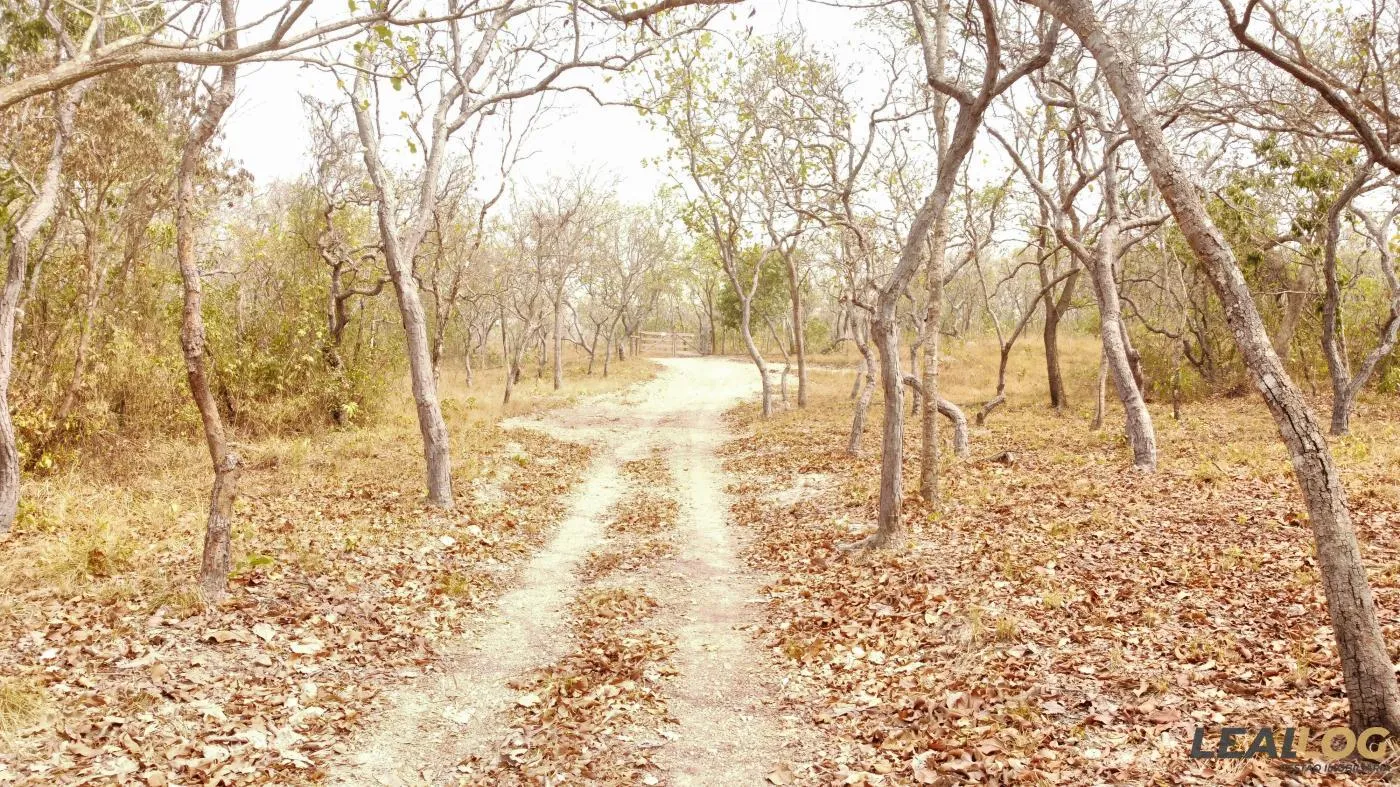Área para Venda em Cuiabá / MT no bairro Ponte de Ferro
