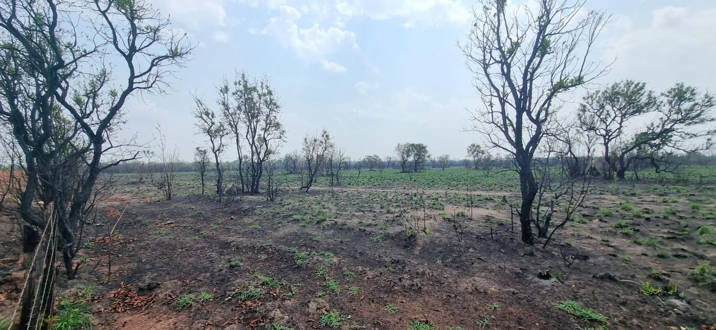 Imagens do imóveis Fazenda para Venda em Cuiabá / MT