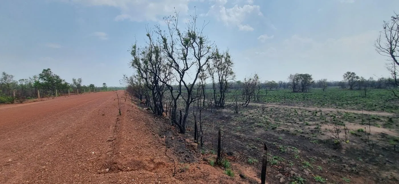 Imagens do imóveis Fazenda para Venda em Cuiabá / MT