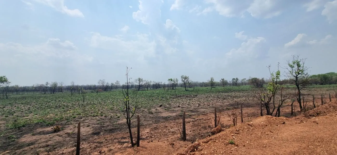 Imagens do imóveis Fazenda para Venda em Cuiabá / MT