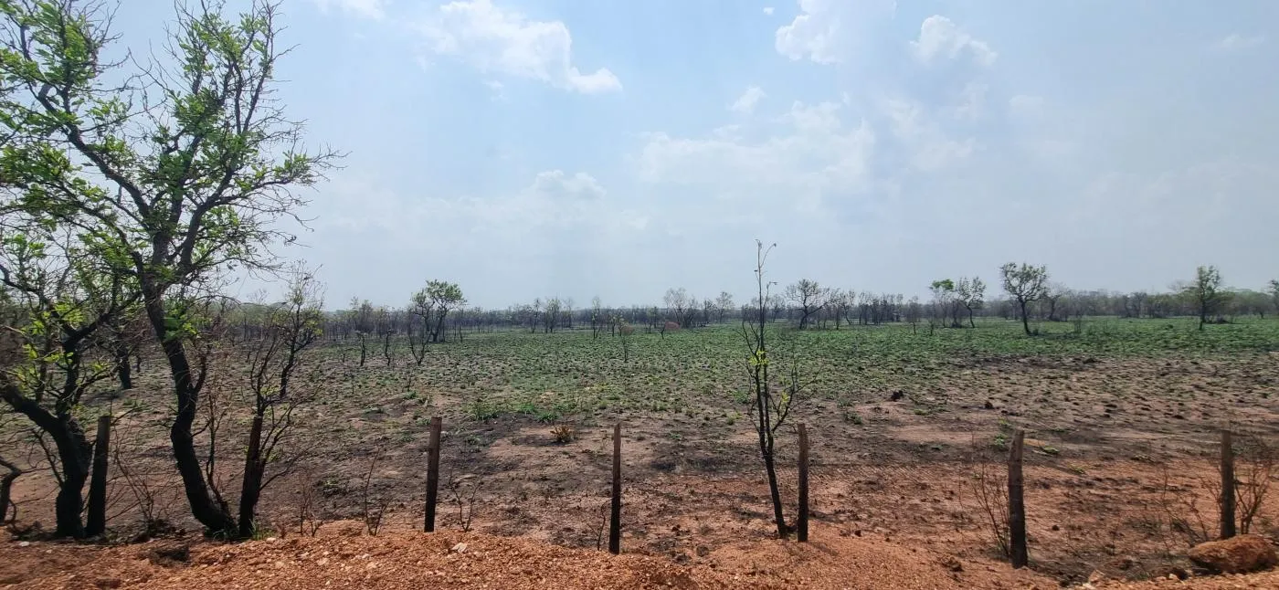 Imagens do imóveis Fazenda para Venda em Cuiabá / MT