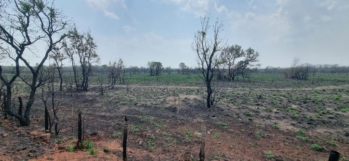 Imagens do imóveis Fazenda para Venda em Cuiabá / MT