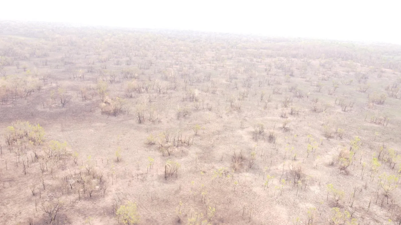 Imagens do imóveis Fazenda para Venda em Cuiabá / MT