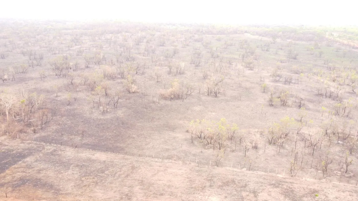 Imagens do imóveis Fazenda para Venda em Cuiabá / MT