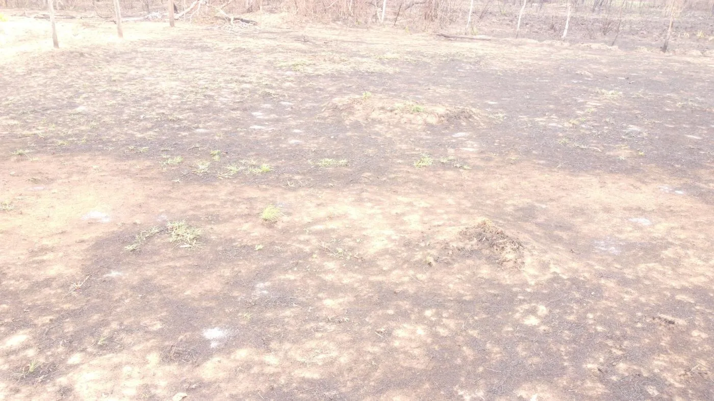 Imagens do imóveis Fazenda para Venda em Cuiabá / MT