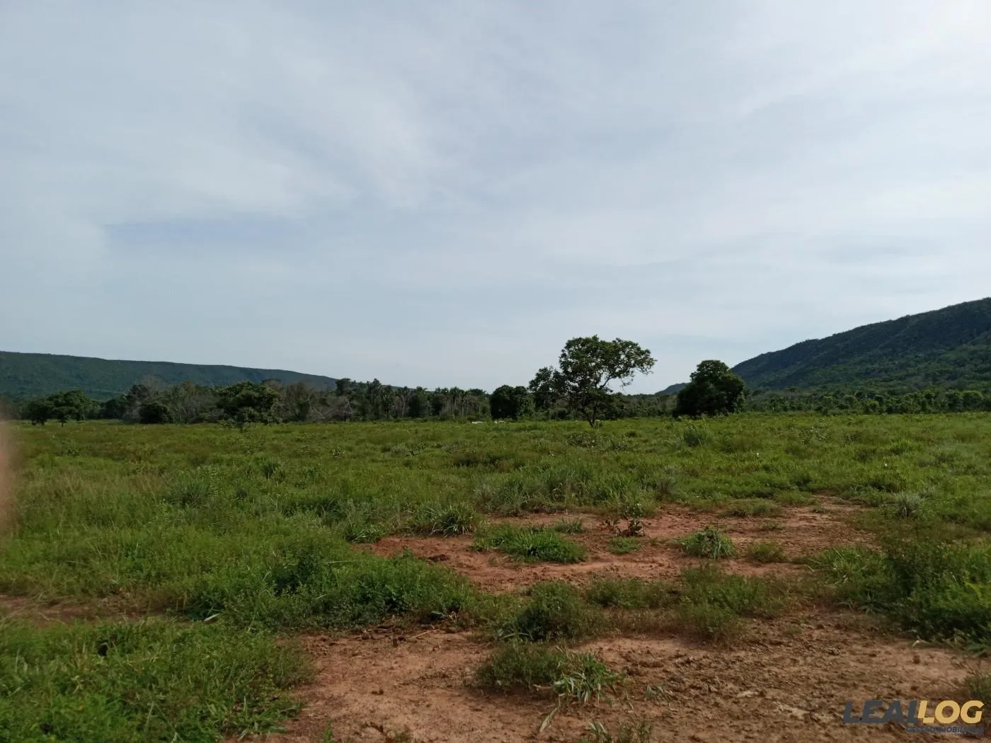 Fazenda para Venda em Alto Paraguai / MT