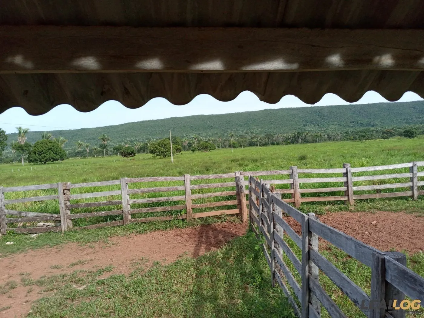Fazenda para Venda em Alto Paraguai / MT
