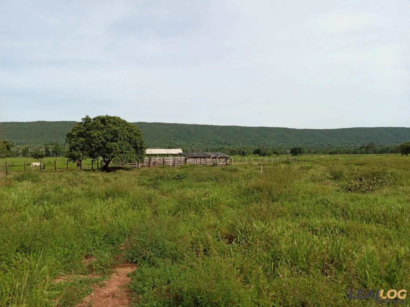 Fazenda para Venda em Alto Paraguai / MT