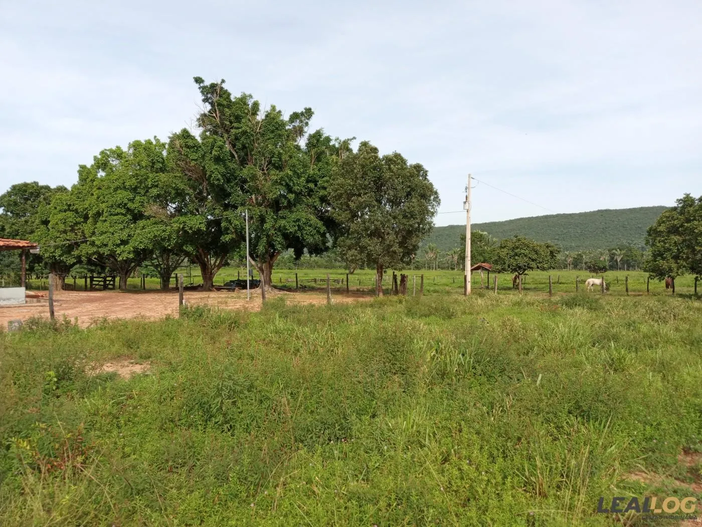 Fazenda para Venda em Alto Paraguai / MT