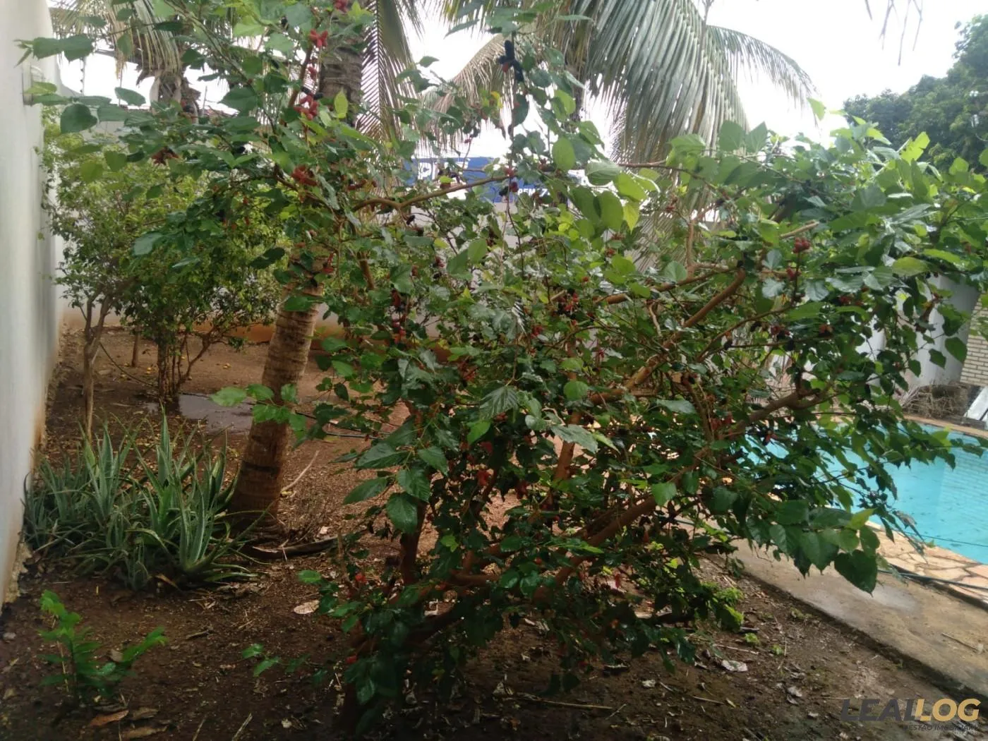 Imagens do imóveis Casa em Condomínio para Venda em Cuiabá / MT no bairro Boa Esperança