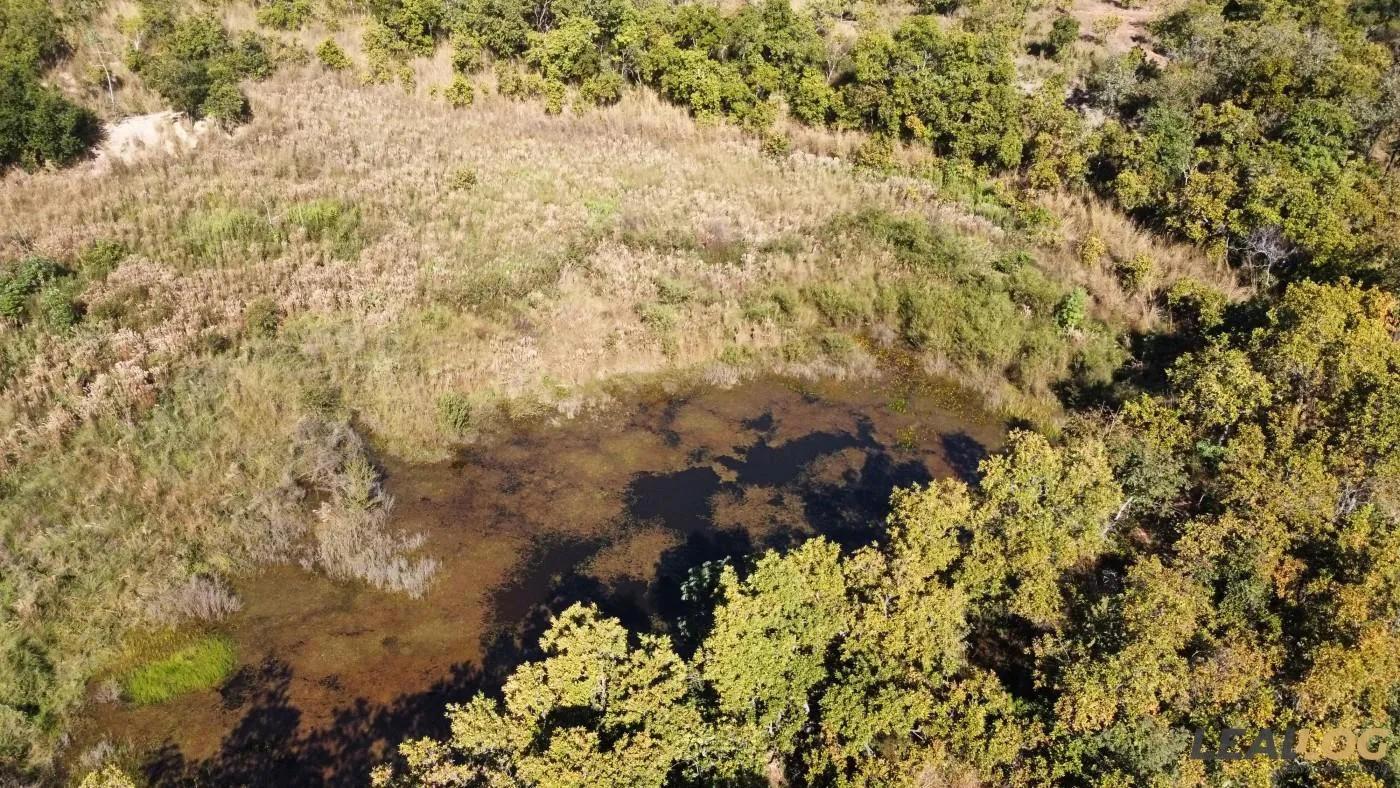Área para Venda em Santo Antônio do Leverger / MT no bairro Morrinho