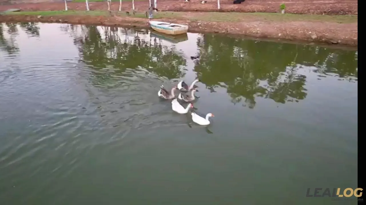 Imagens do imóveis Chácara para Venda em Cuiabá / MT no bairro Área Rural de Cuiabá