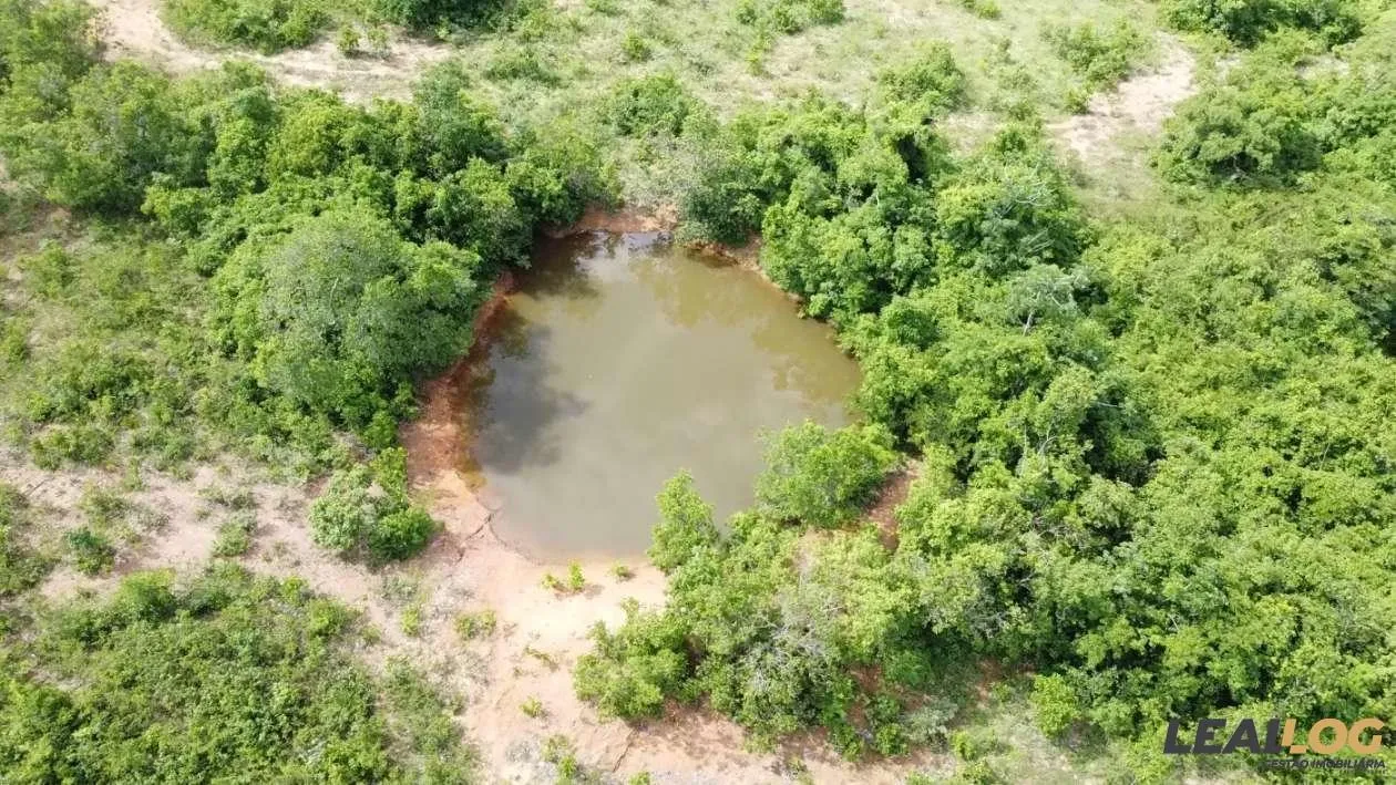 Fazenda para Venda em Nossa Senhora do Livramento / MT no bairro Cinquentinha