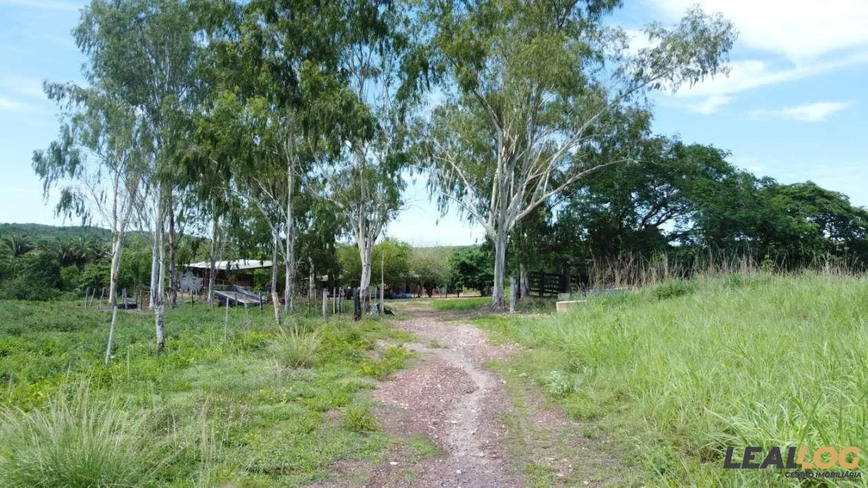 Fazenda para Venda em Nossa Senhora do Livramento / MT no bairro Cinquentinha