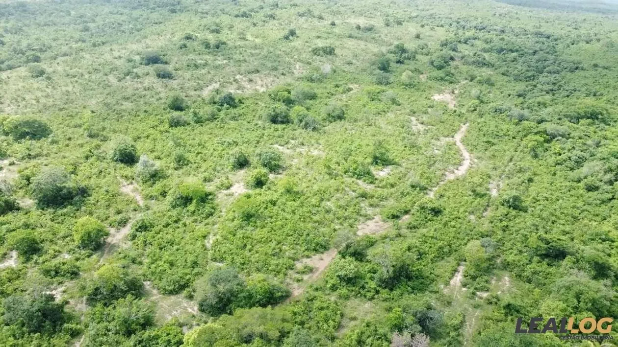 Fazenda para Venda em Nossa Senhora do Livramento / MT no bairro Cinquentinha