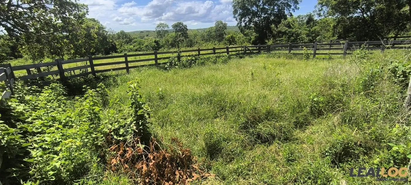 Fazenda para Venda em Nossa Senhora do Livramento / MT no bairro Cinquentinha