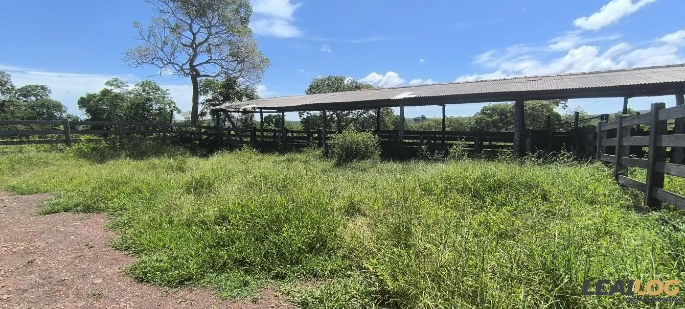 Imagens do imóveis Fazenda para Venda em Nossa Senhora do Livramento / MT no bairro Cinquentinha
