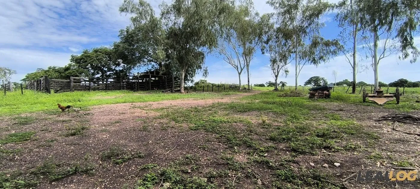 Imagens do imóveis Fazenda para Venda em Nossa Senhora do Livramento / MT no bairro Cinquentinha