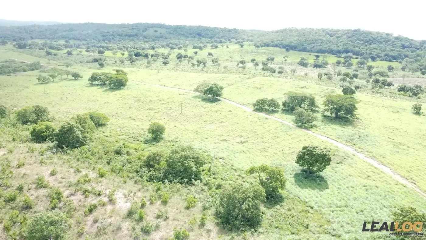 Imagens do imóveis Fazenda para Venda em Nossa Senhora do Livramento / MT no bairro Cinquentinha