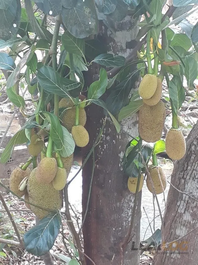 Imagens do imóveis Chácara para Venda em Rondonópolis / MT no bairro Villa Paulista