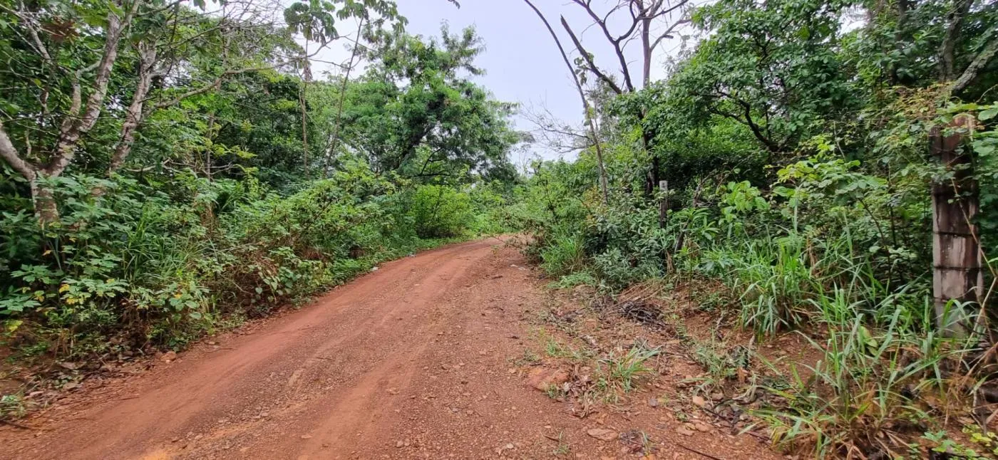 Imagens do imóveis Terreno para Venda em Chapada dos Guimarães / MT no bairro Florada da Serra