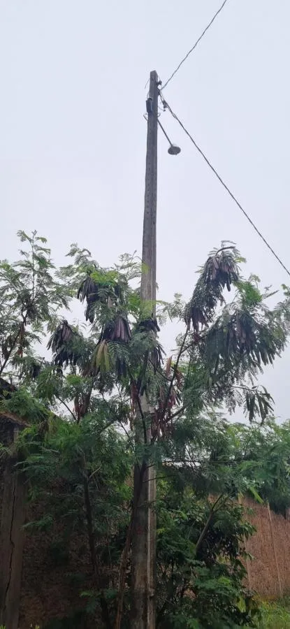 Imagens do imóveis Terreno para Venda em Chapada dos Guimarães / MT no bairro Florada da Serra