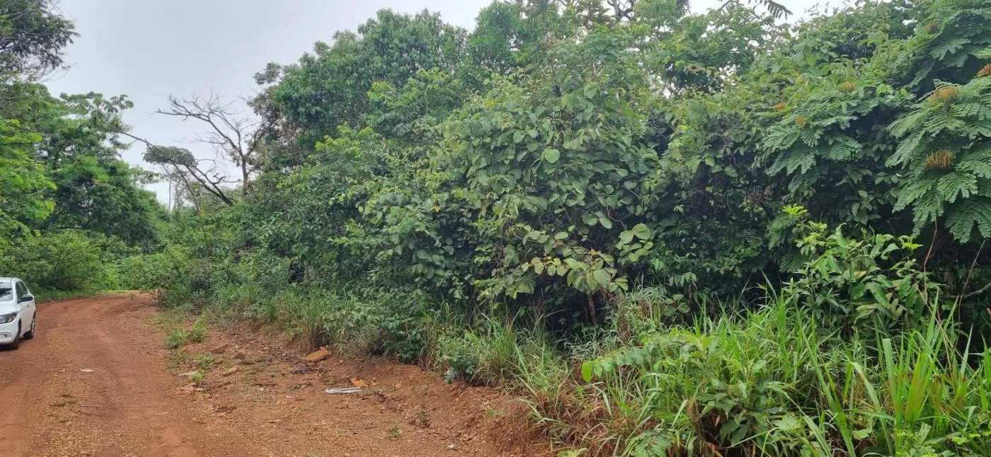 Imagens do imóveis Terreno para Venda em Chapada dos Guimarães / MT no bairro Florada da Serra