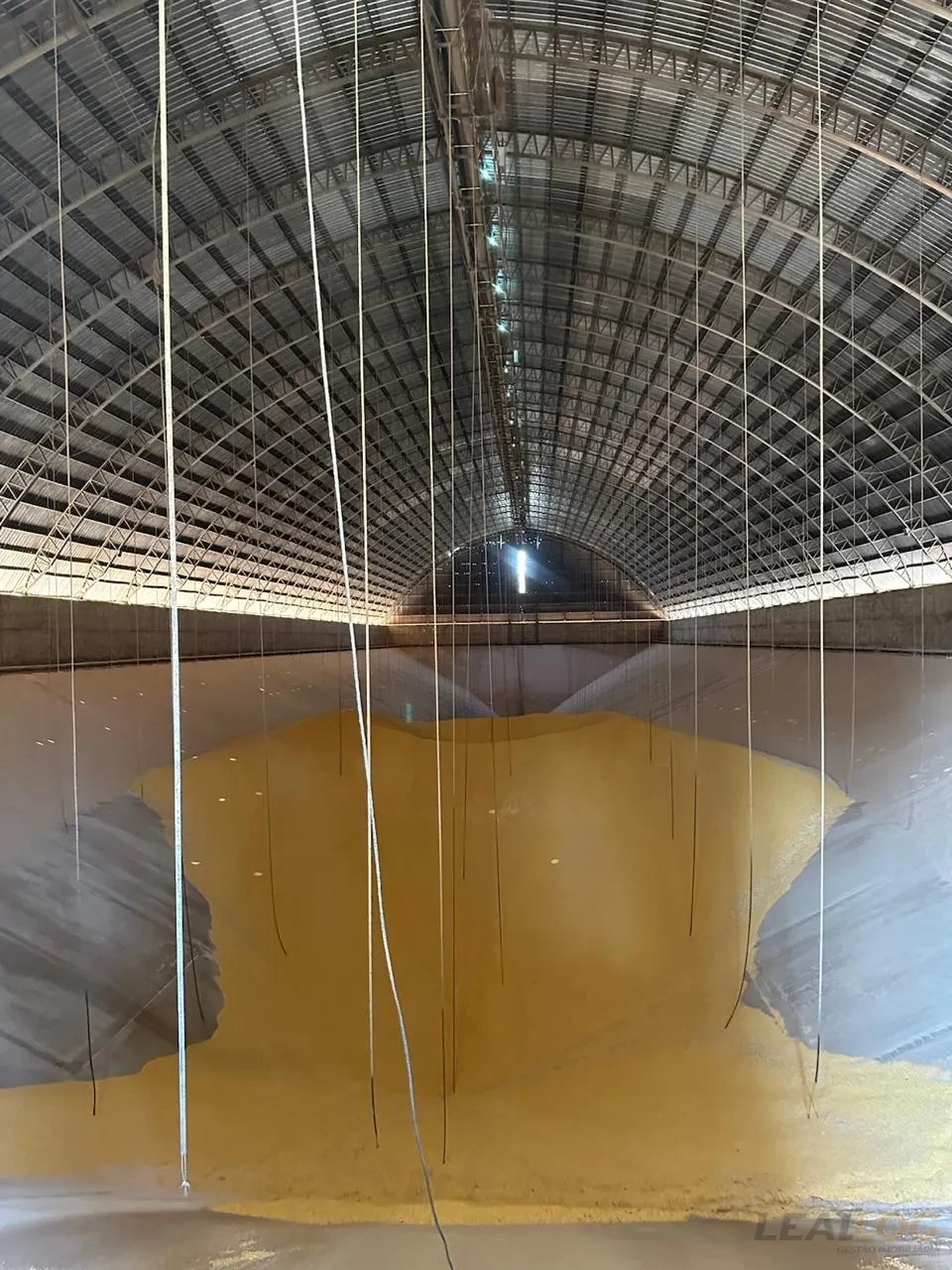 Comercial À Venda Centro Nova Mutum