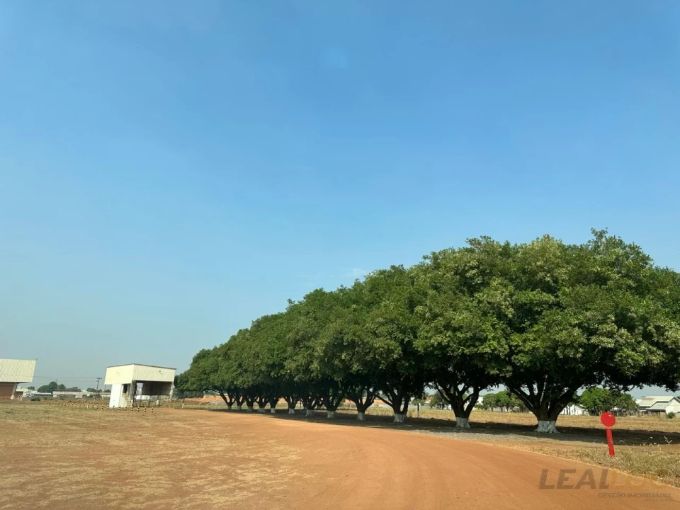 Imagens do imóveis Comercial À Venda Centro Nova Mutum