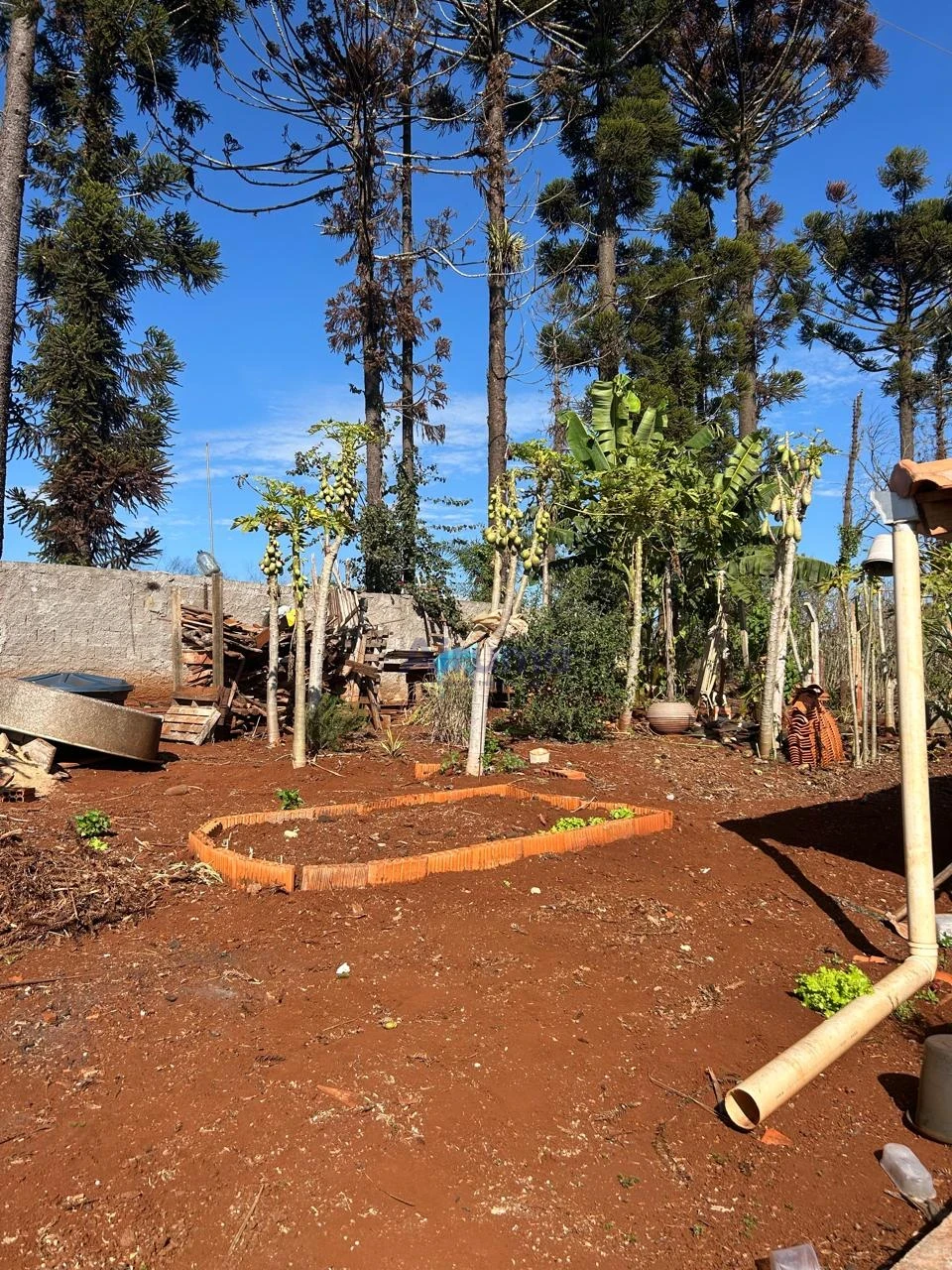 Imagens do imóveis Fazenda/Sítios/Chácaras À Venda Chácara - Portal Das Araucárias Londrina