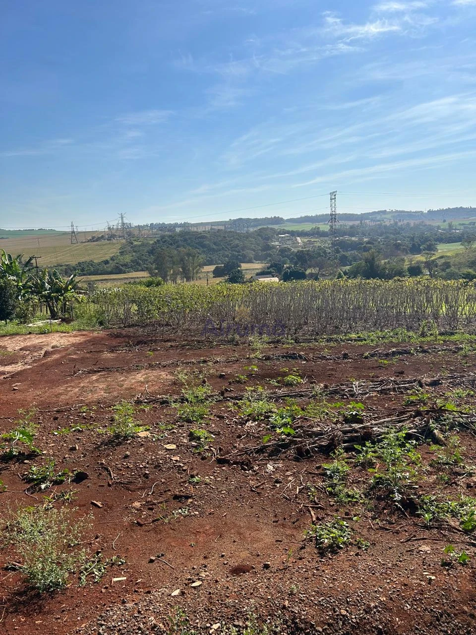 Imagens do imóveis Fazenda/Sítios/Chácaras À Venda Chácara - Portal Das Araucárias Londrina