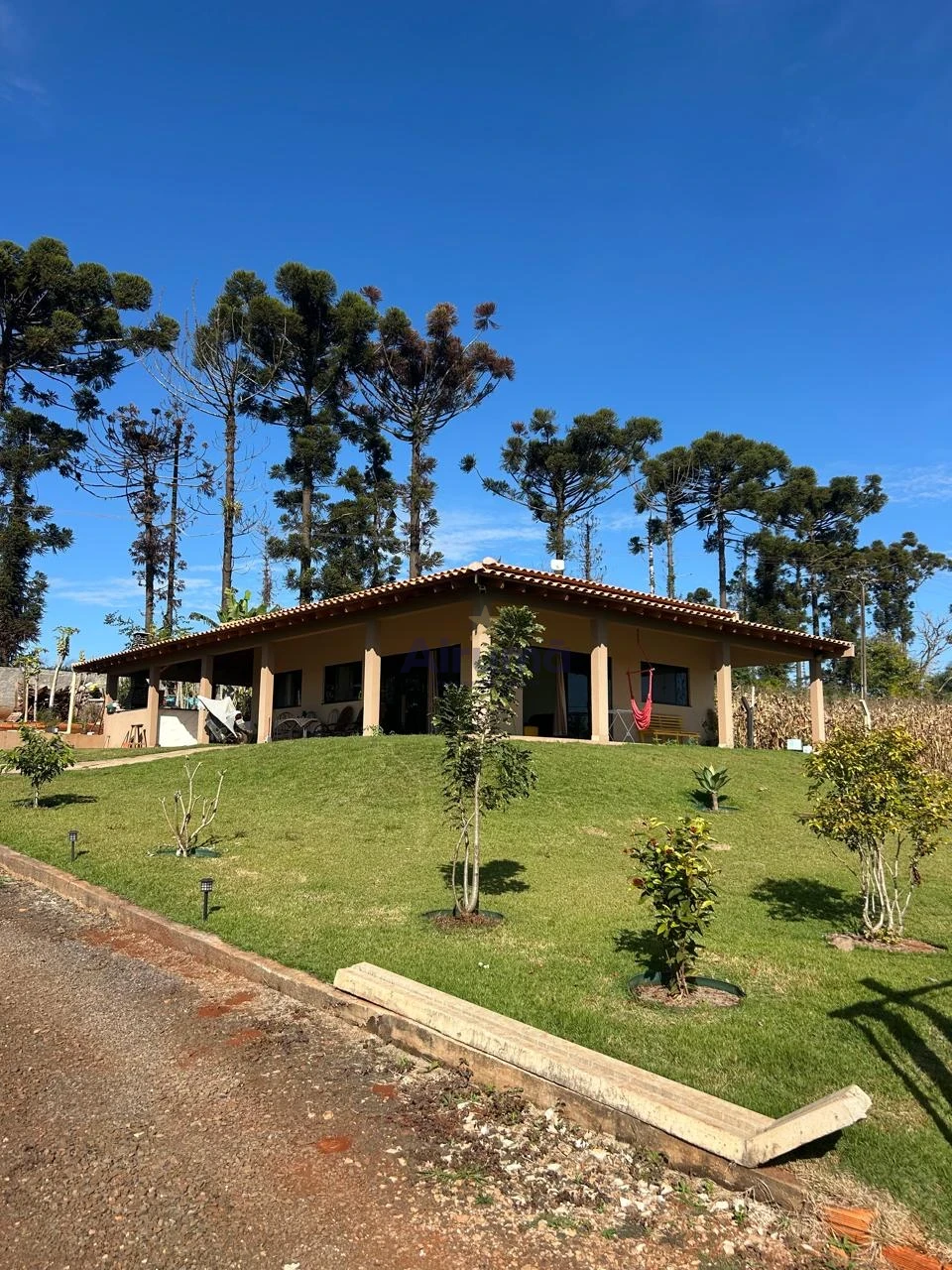 Imagens do imóveis Fazenda/Sítios/Chácaras À Venda Chácara - Portal Das Araucárias Londrina