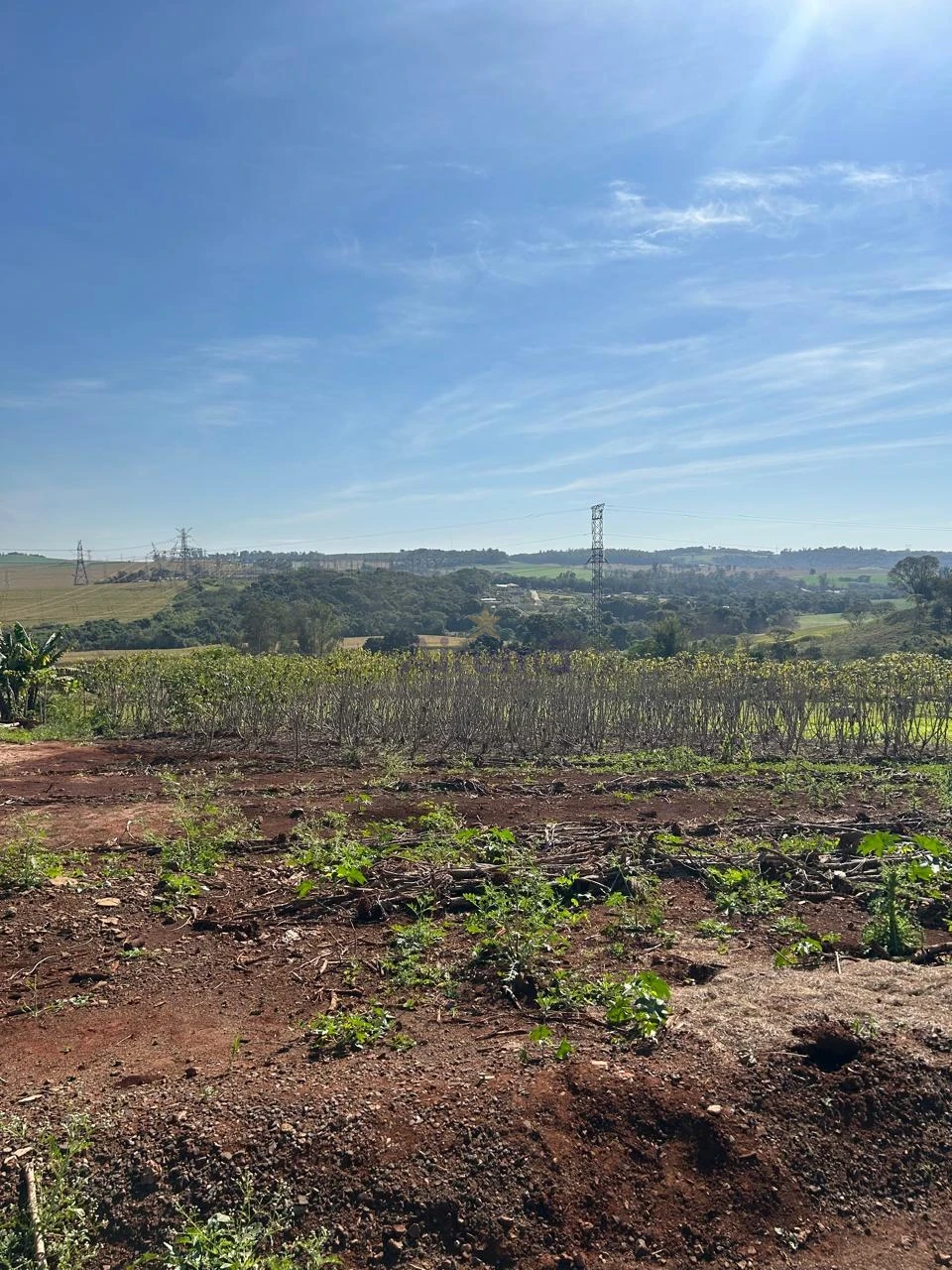 Imagens do imóveis Fazenda/Sítios/Chácaras À Venda Chácara - Portal Das Araucárias Londrina