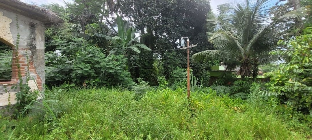 Terreno à venda em Guaratiba, Rio de Janeiro - foto 11