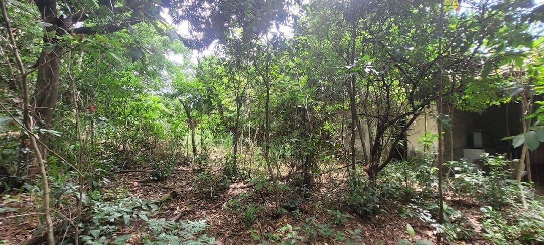 Terreno à venda em Guaratiba, Rio de Janeiro - foto 17