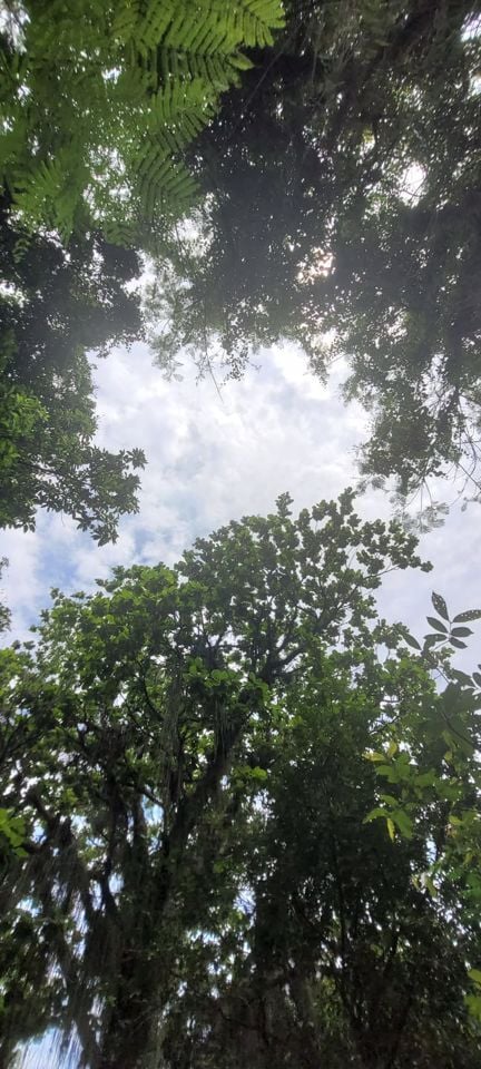 Terreno à venda em Guaratiba, Rio de Janeiro - foto 18